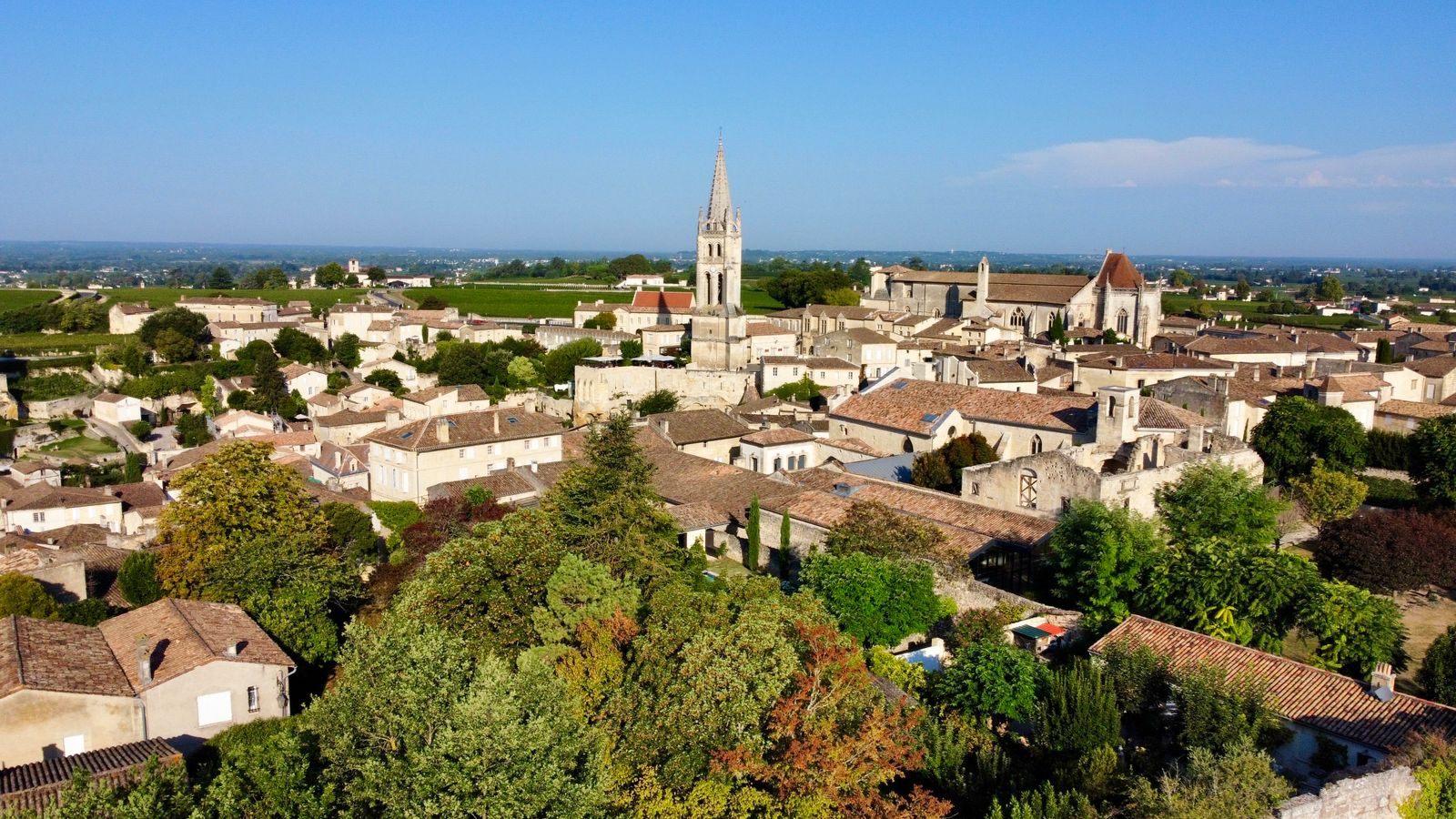 Saint-Émilion and vineyards