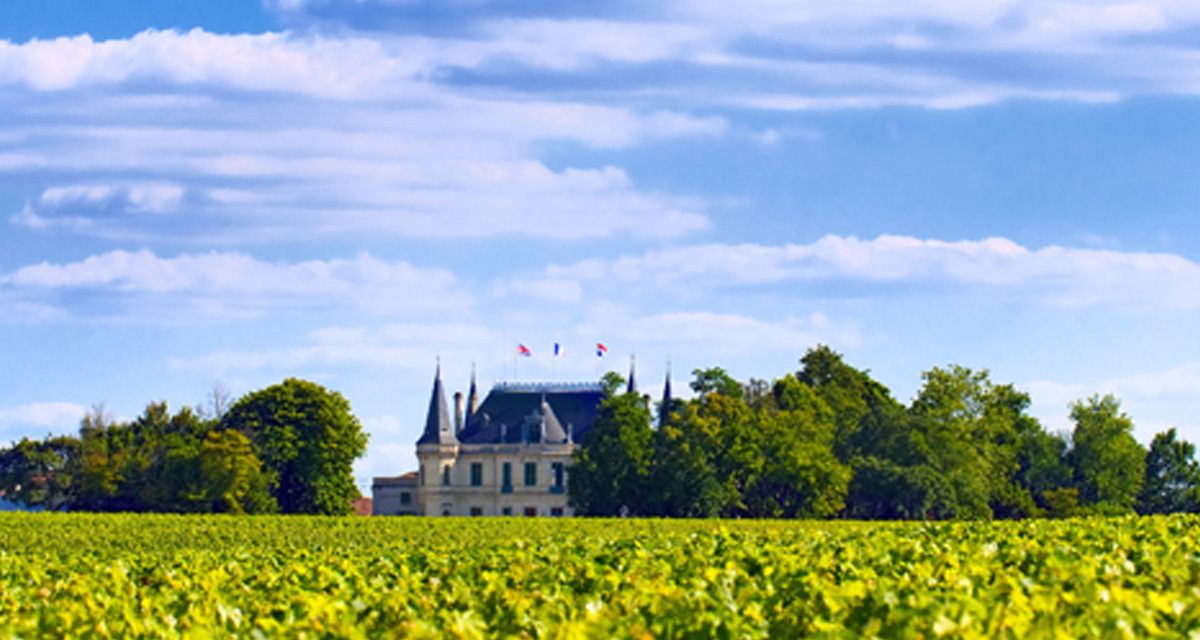 Château and vineyards